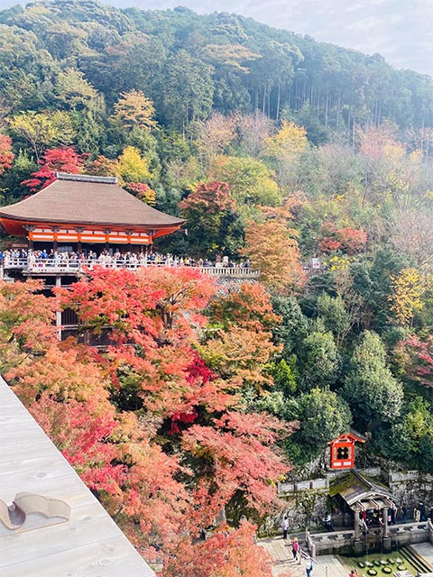 京都の紅葉