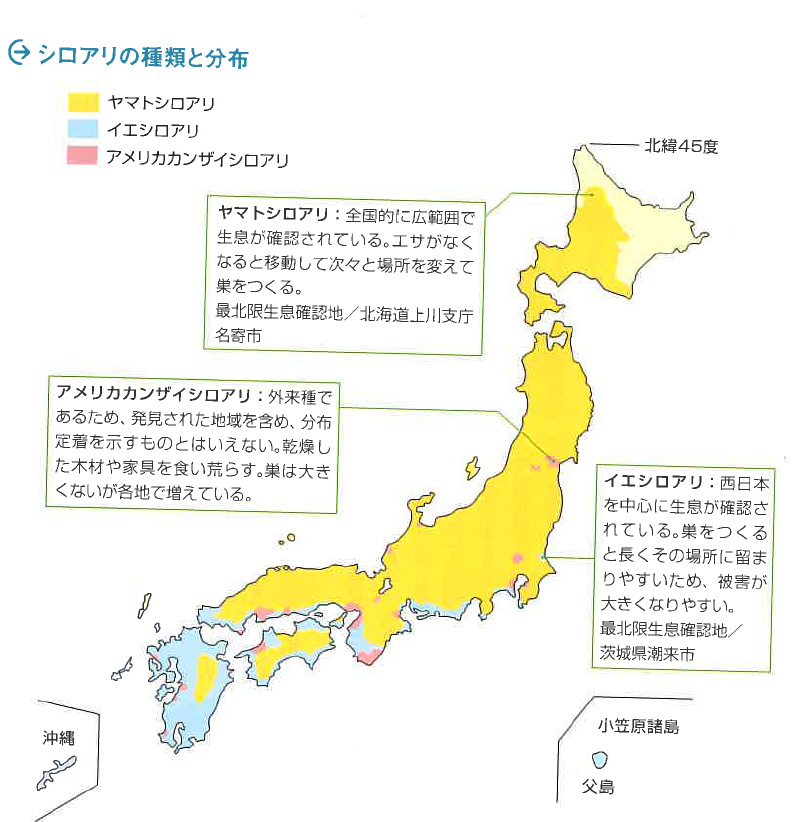 シロアリの種類と分布